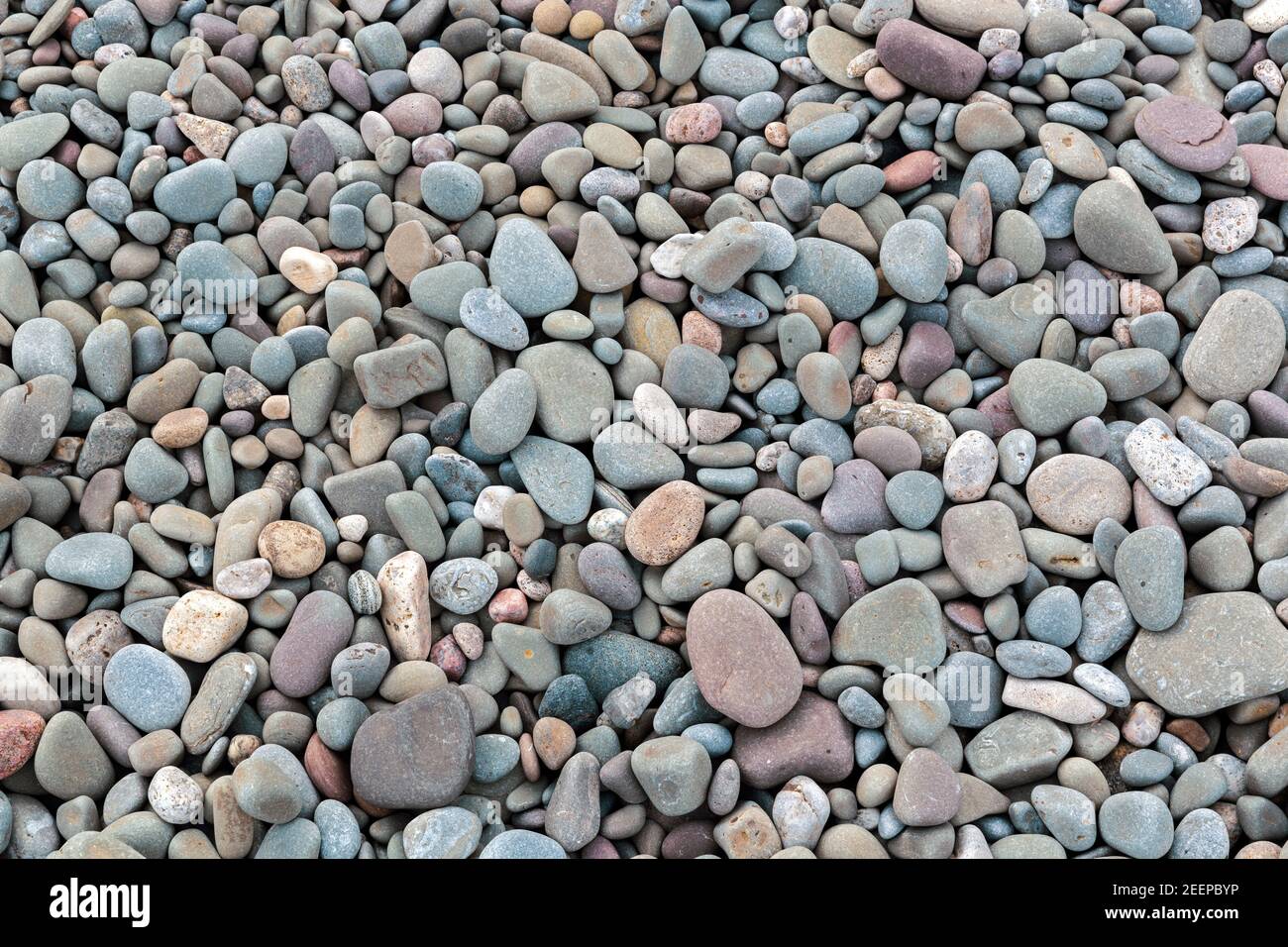 Nahaufnahme von Steinen und Kieselsteinen am Strand Stockfoto