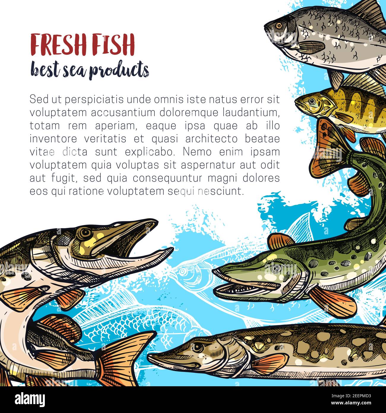 Fisch frisch Produkt Poster Vorlage. Meer- und Flussfisch Tier Skizzenbanner von Seebarsch, Forelle, Hecht, Karpfen, Karausche und Brassen für Angelsport, Fi Stock Vektor