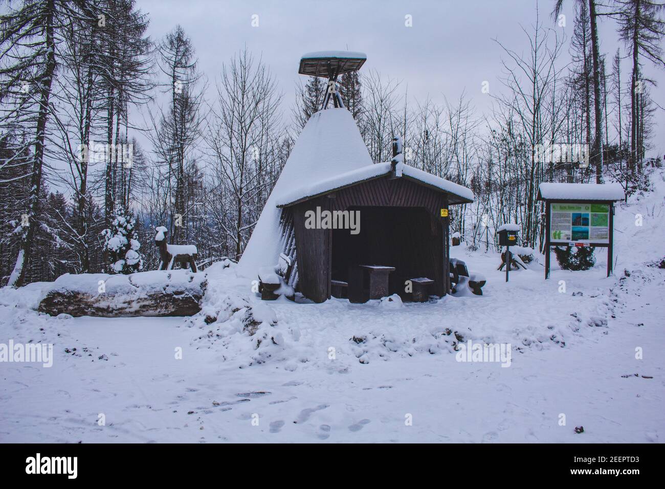 Winter im Nationalpark Harz, Deutschland. Hütte am Eselsplatz bei Osterode am Harz. Moody schneebedeckte Landschaft im deutschen Wald Stockfoto