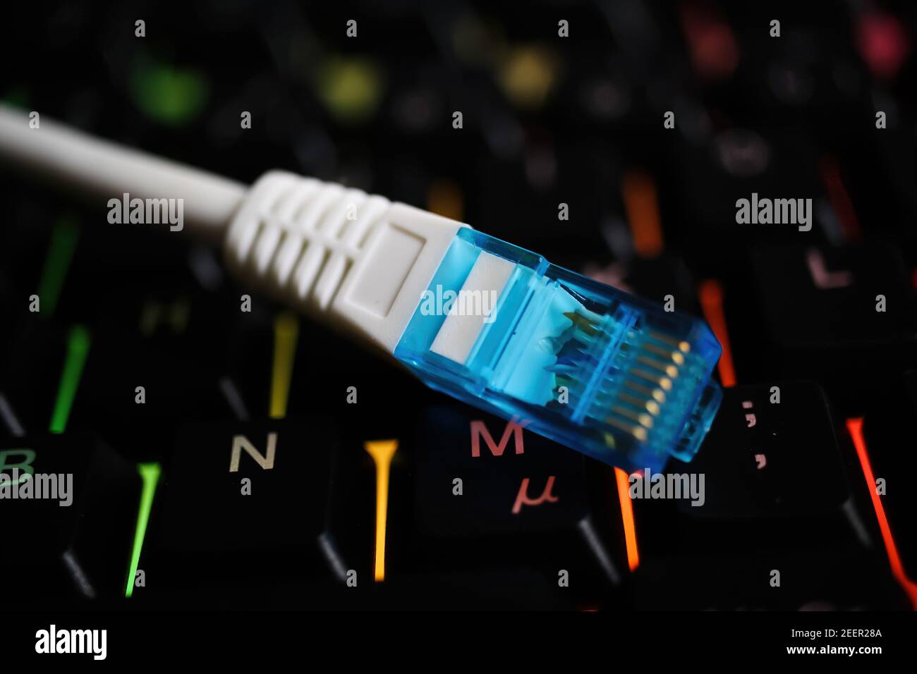 Makro-Nahaufnahme des isolierten blau-weißen Netzwerkverbindungskabels an Beleuchtete Computertastatur Stockfoto