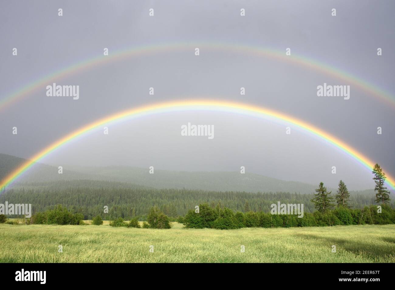 Doppelter Regenbogen über dem Yaak Valley im Sommer, nordwestlich von Montana. (Foto von Randy Beacham) Stockfoto