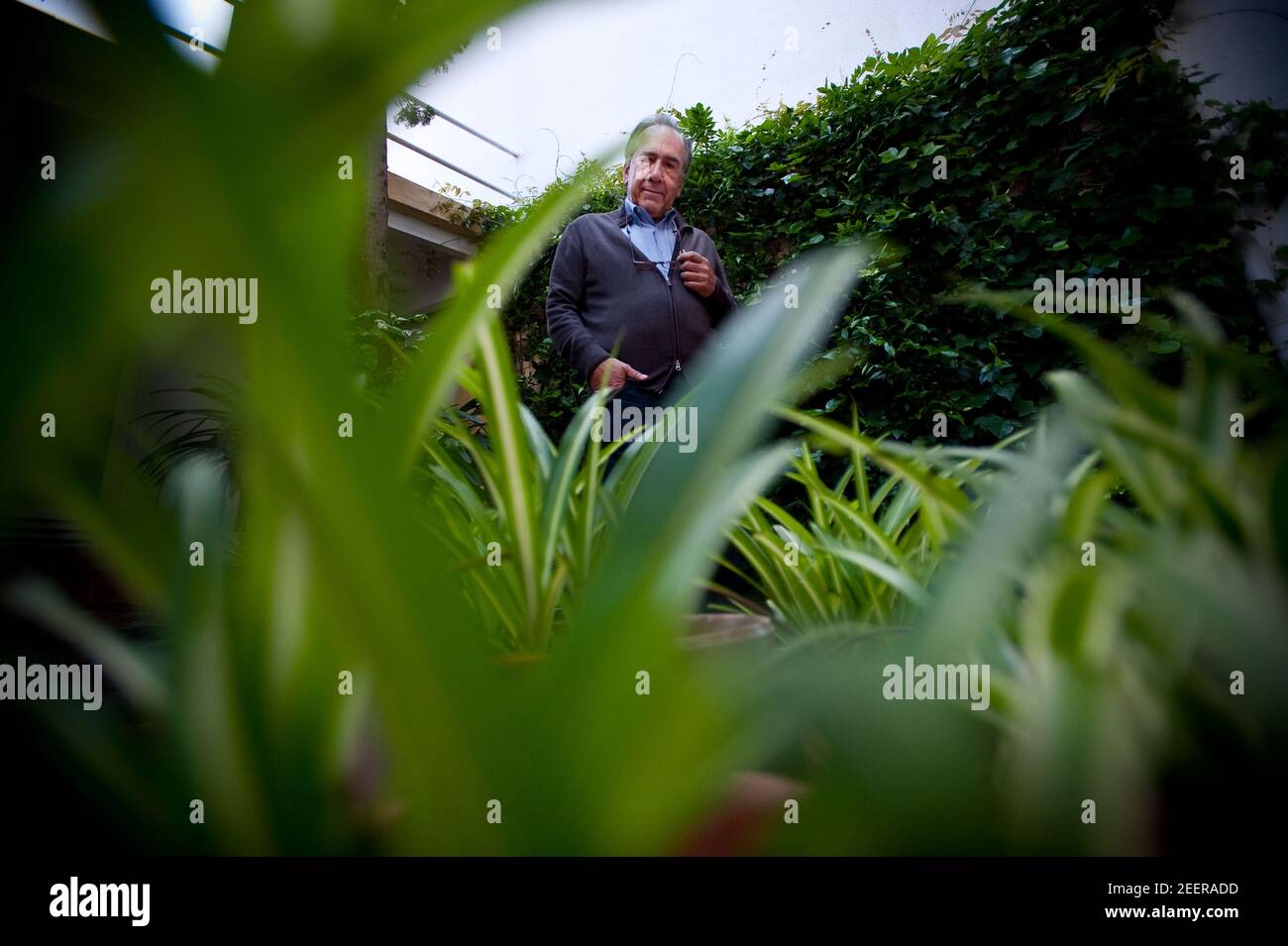 Porträt des Schriftstellers Joan Margarit in seinem Haus in Sant Just Desvern. Datum: 05/09/2011. Fotograf: Xabier Mikel Laburu Stockfoto