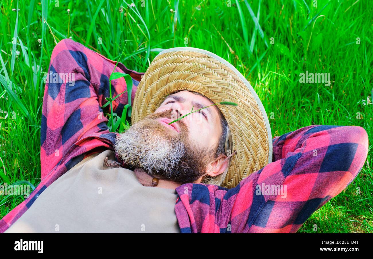 Mann liegt auf Gras. Glücklich entspannt Mann in karierten Hemd und Hut. Mann, der im Sommer im Freien relaxt. Genießen Sie einen sonnigen Tag. Einheit mit der Natur. Stockfoto