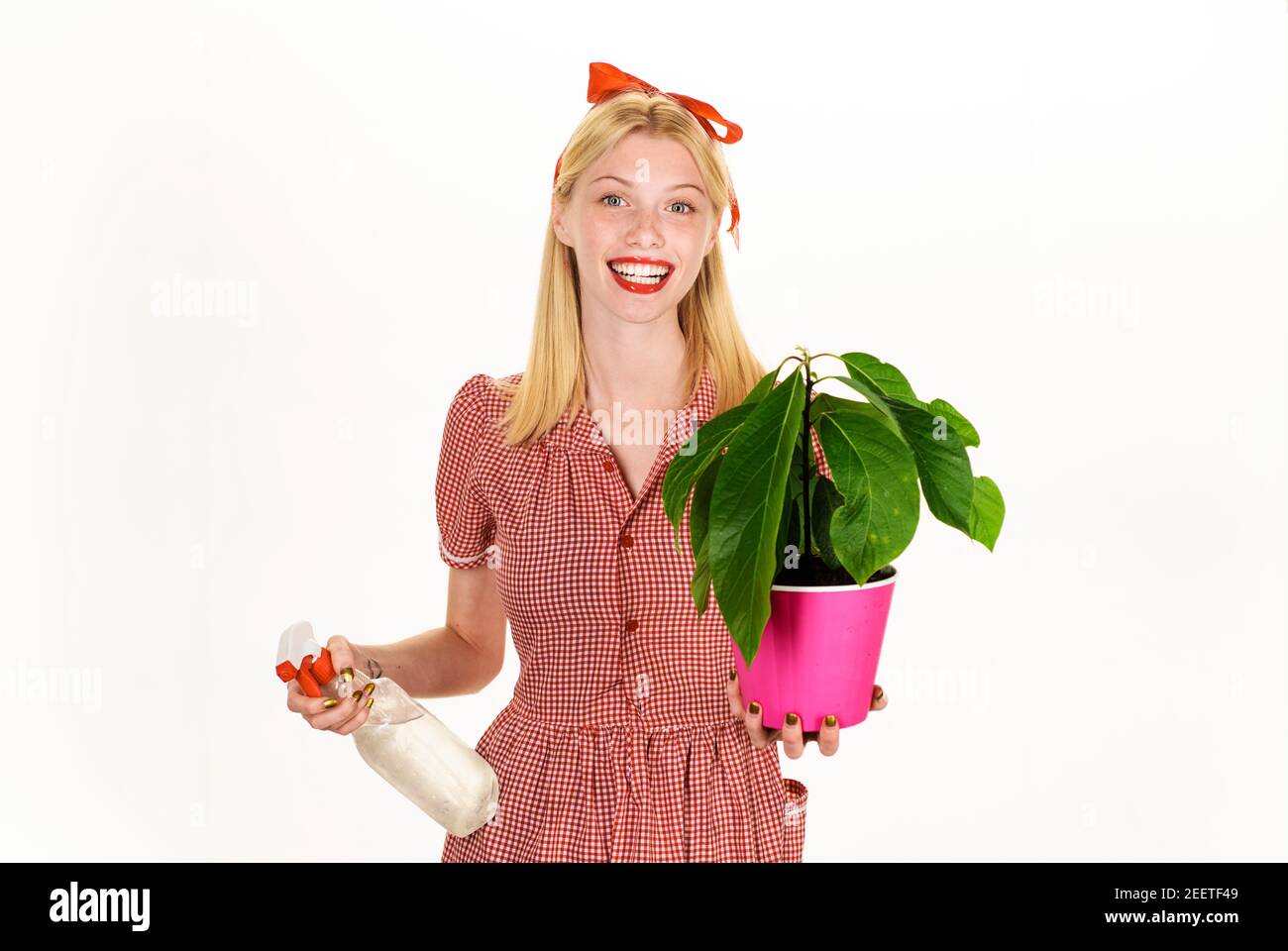 Frau mit Sprühflasche sprühen Zimmerpflanzen. Bewässerungskonzept. Bewässerung. Mädchen kümmern sich um Blumen. Stockfoto