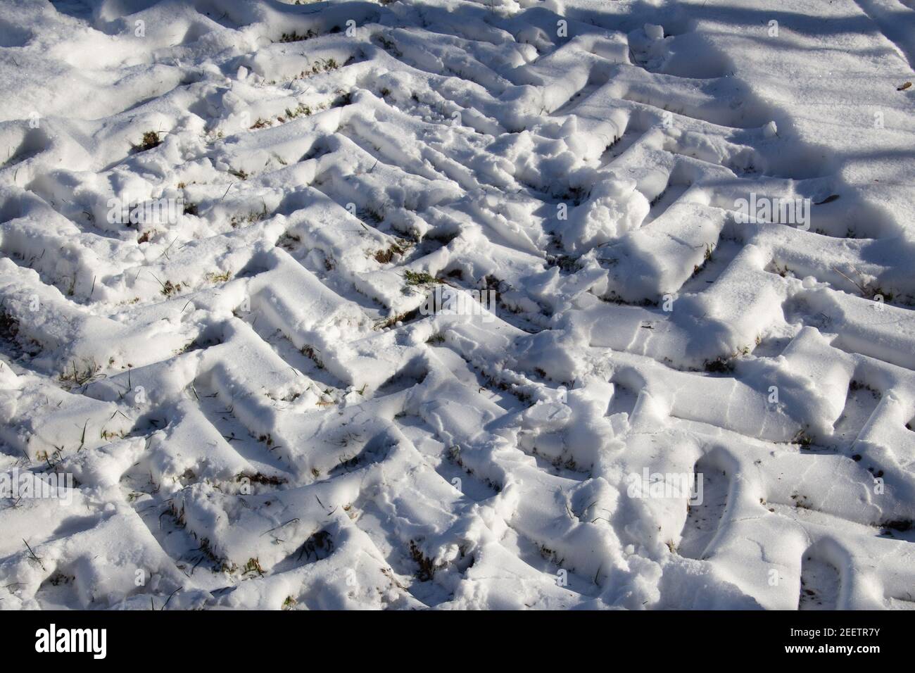 Traktorreifen Spuren im Schnee im Winter Stockfoto