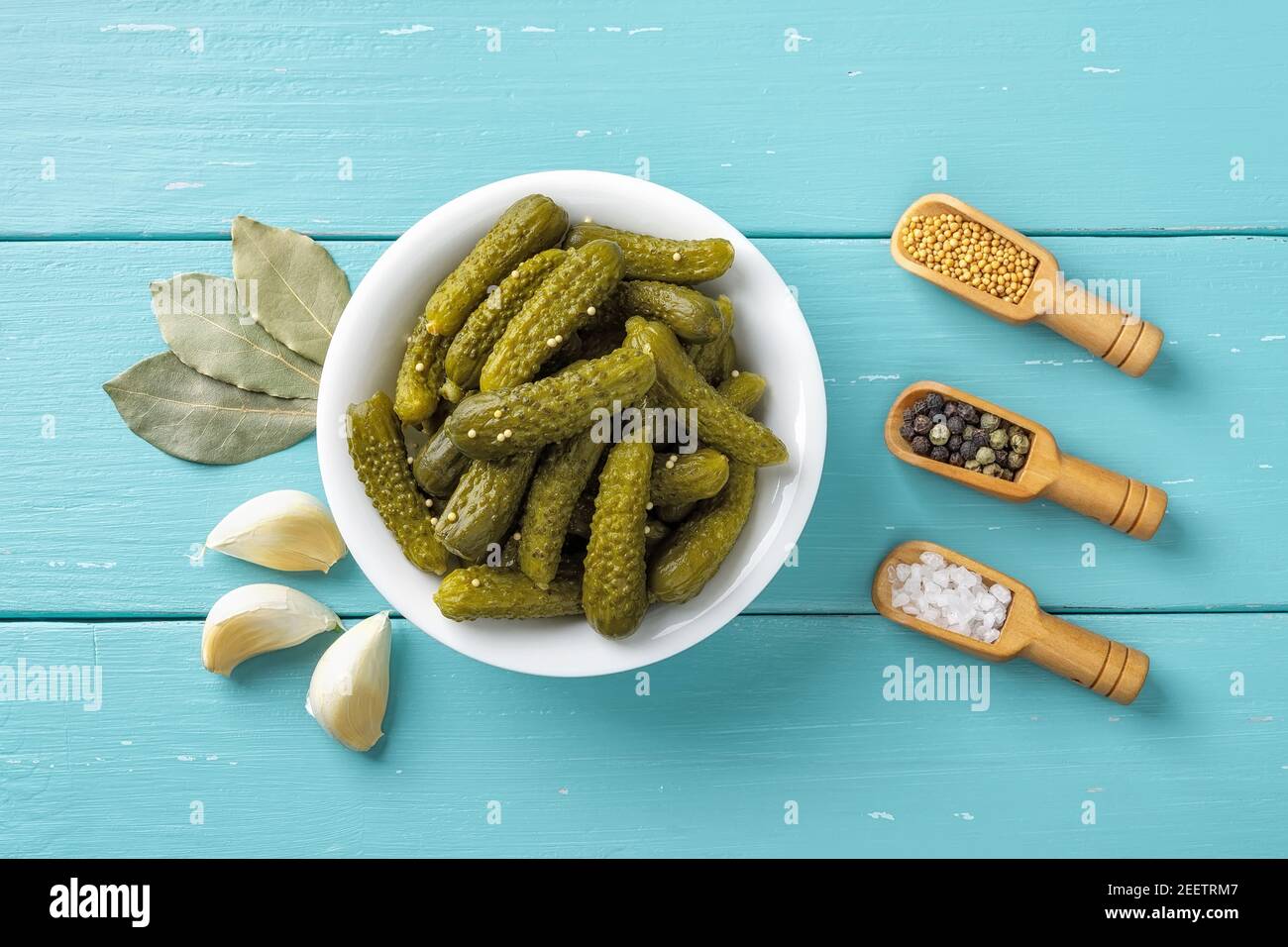 Knusprig eingelegte Cornichons in einer weißen Keramikschale, Knoblauch, Lorbeerblätter, Salz, Pfeffer und Senfkörner über blauem Holztisch. Marinierter grüner Gurken Stockfoto