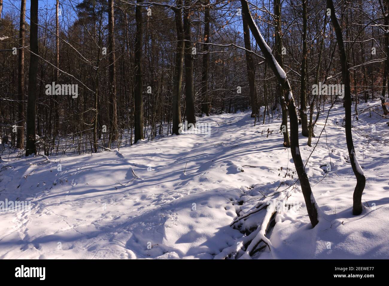 Verschneite Winterlandschaft in Menden im Sauerland Stockfoto