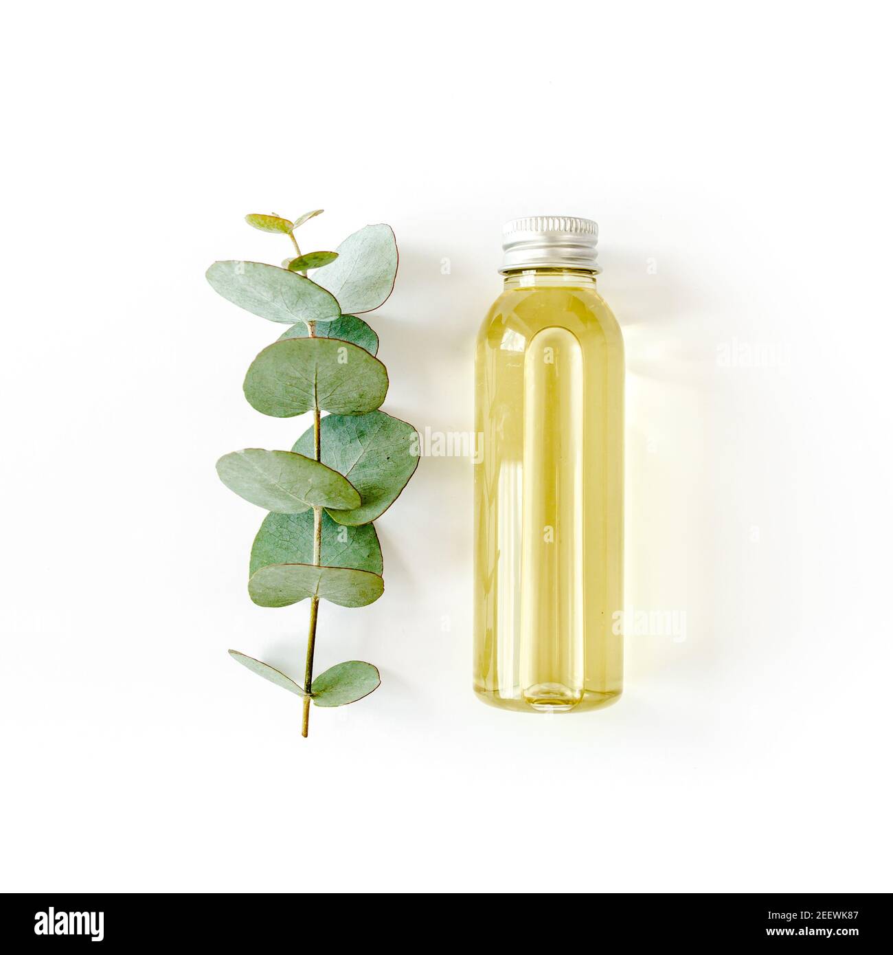 Flasche ätherisches Eukalyptusöl, Eukalyptusblätter auf weißem Hintergrund. Natürliche, organische Kosmetikprodukte. Flach liegend, Draufsicht. Stockfoto