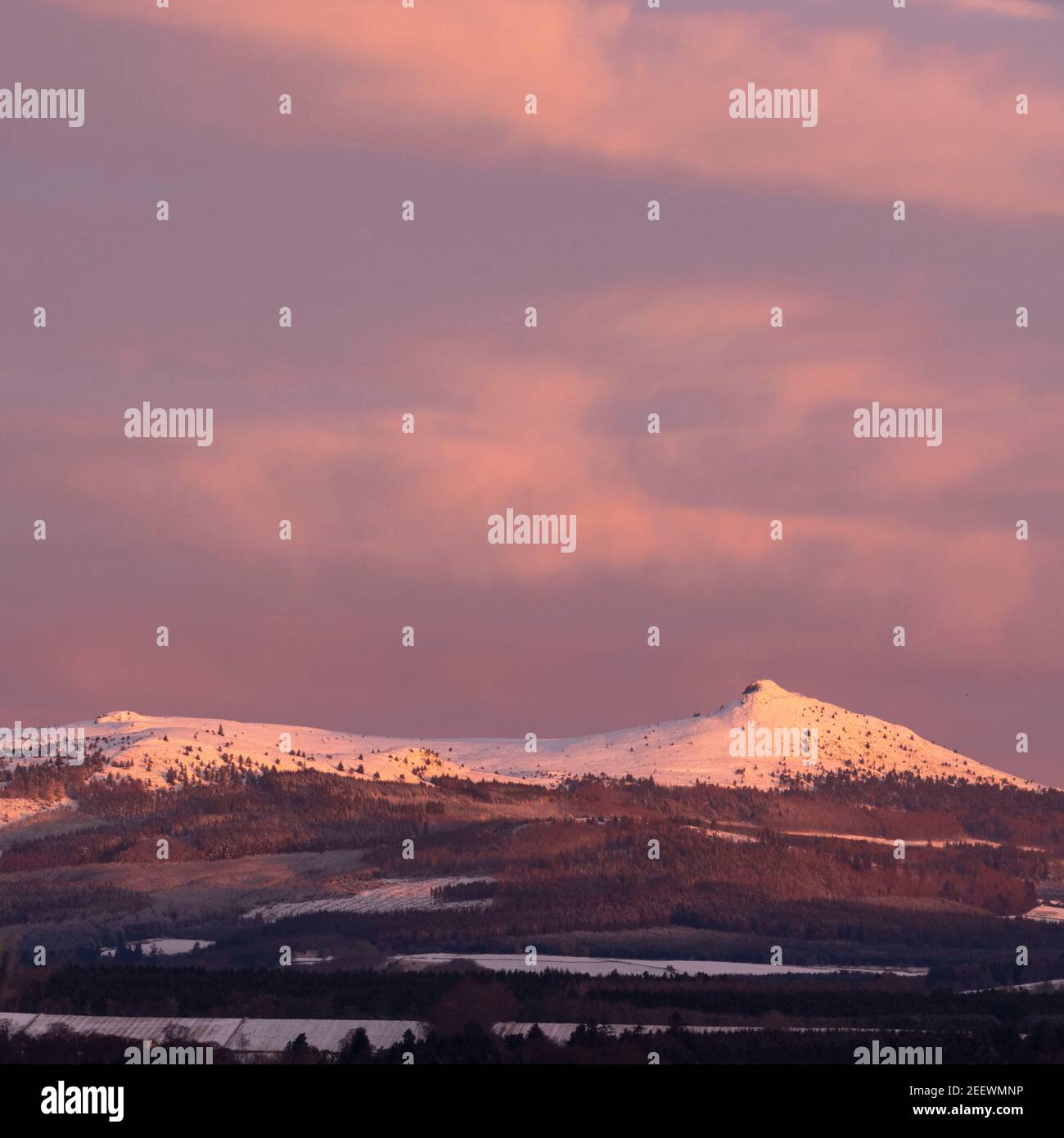 Der Himmel und die Wolken über schneebedeckter Bennachie in Aberdeenshire drehen sich Rosa kurz vor Sonnenaufgang an einem Wintermorgen Stockfoto