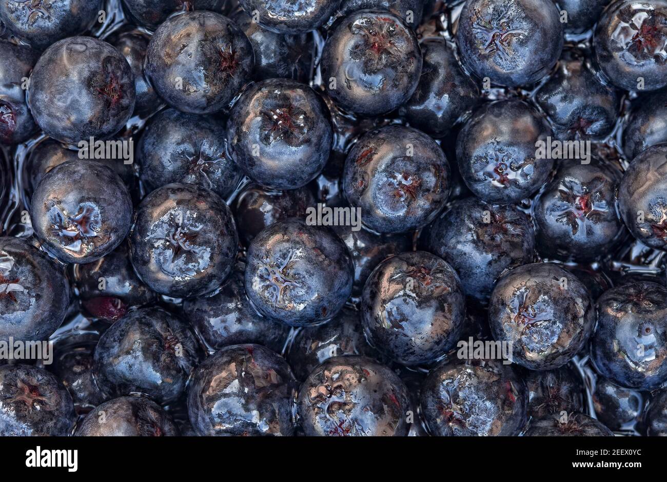 Reife Aronia Melanocarpa Frucht Hintergrund Stockfoto