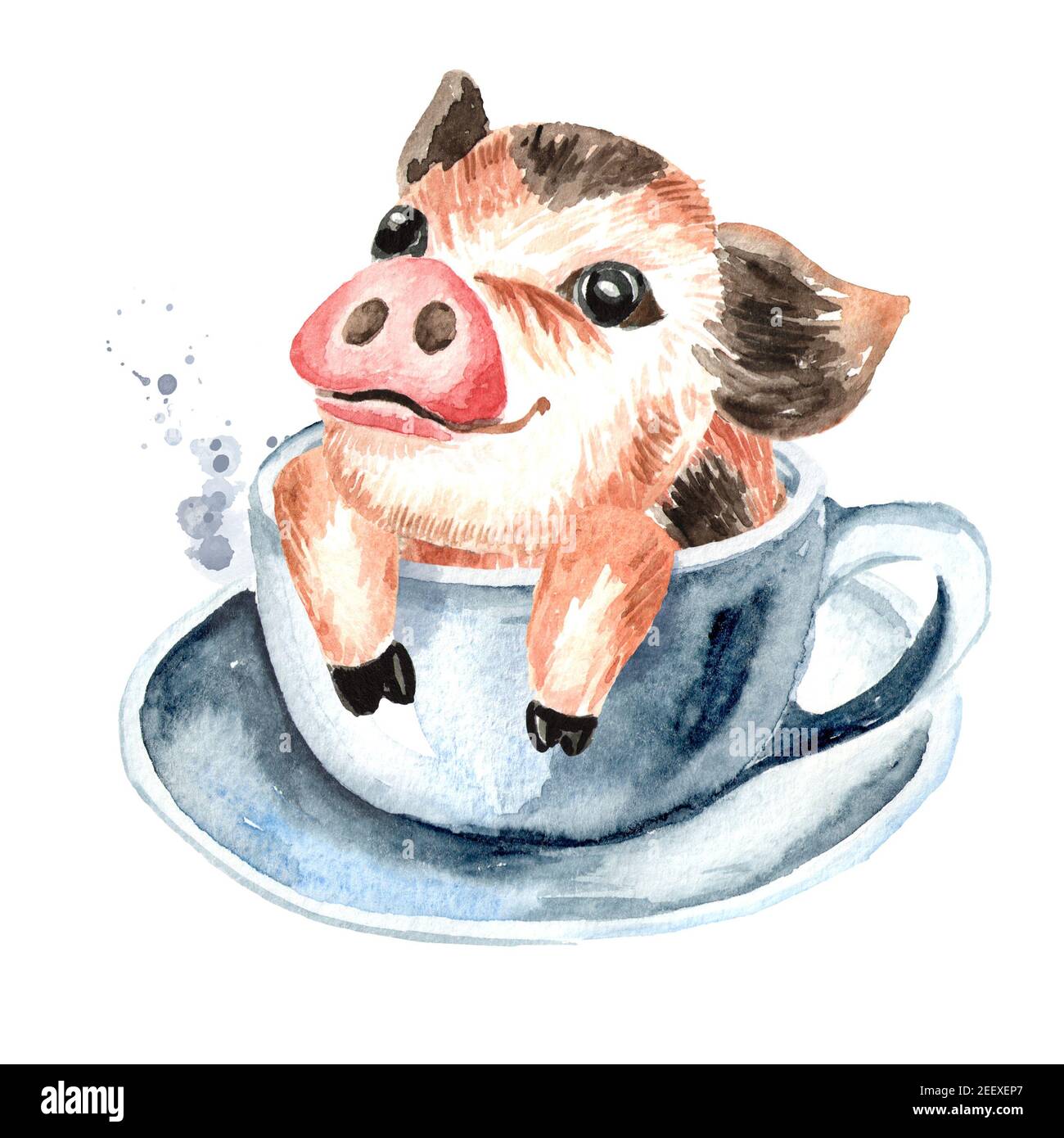 Baby Mini Schwein Stockfotos Und Bilder Kaufen Alamy