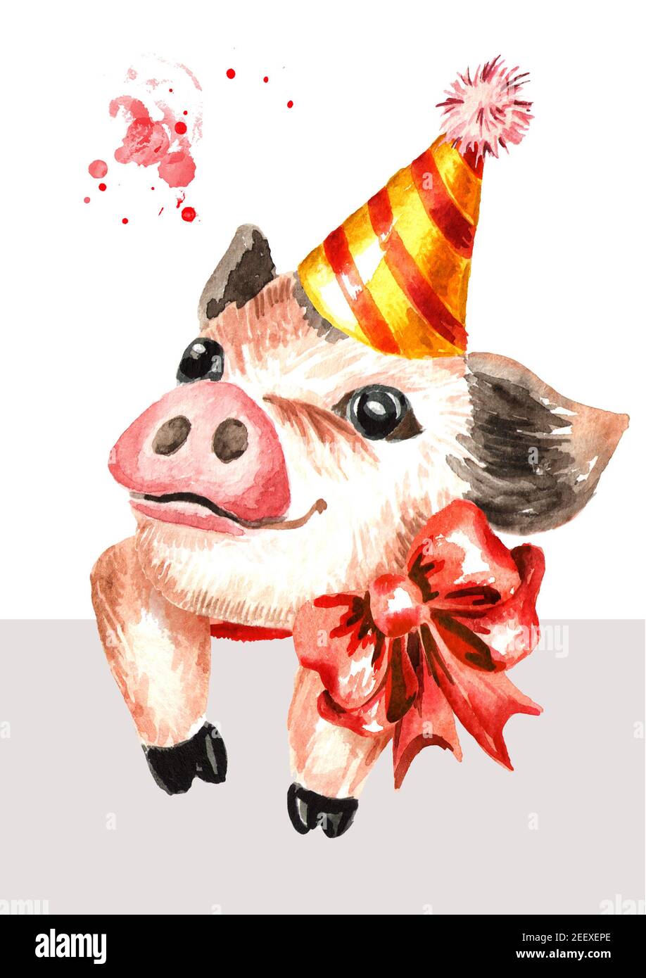 Baby Mini Schwein Stockfotos Und Bilder Kaufen Alamy