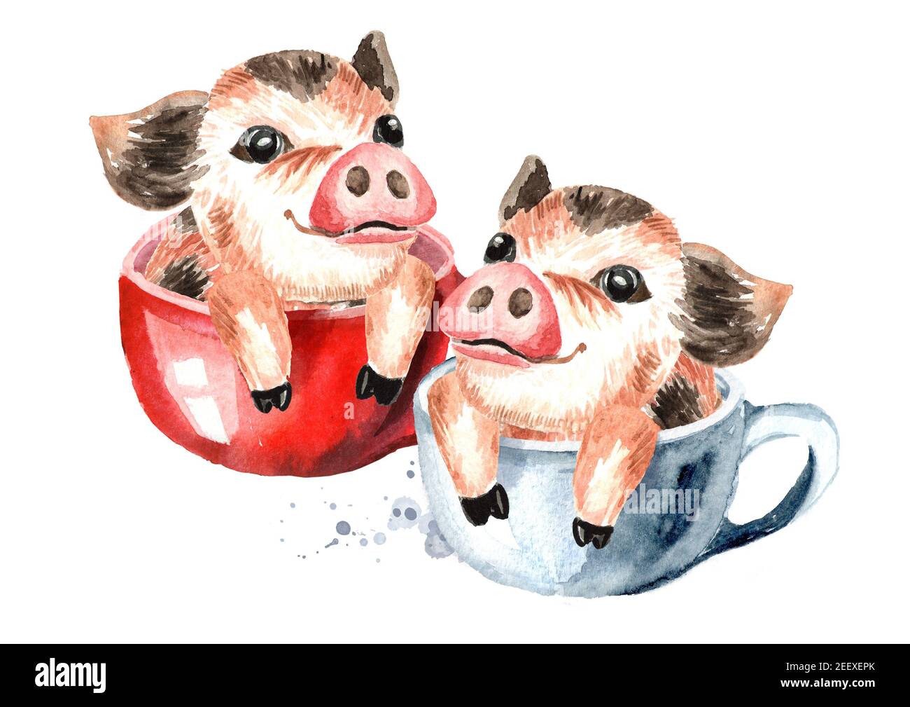 Mini Pig Piglet Stockfotos Und Bilder Kaufen Seite 2 Alamy