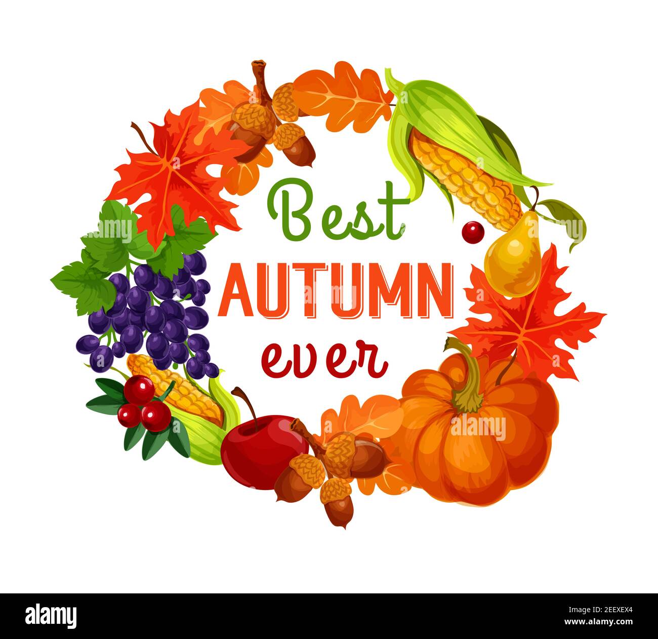 Herbstblatt, Ernte Gemüse und Obst Poster. Herbst Natur Saison Blätter, Kürbis und Maisgemüse, Apfel, Trauben und Birnen Obst, Wald Eichel und Stock Vektor