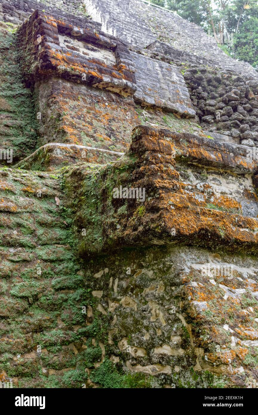 Der hohe Tempel an den Maya-Ruinen von Lamanai, im Orange Walk Bezirk von Belize Stockfoto