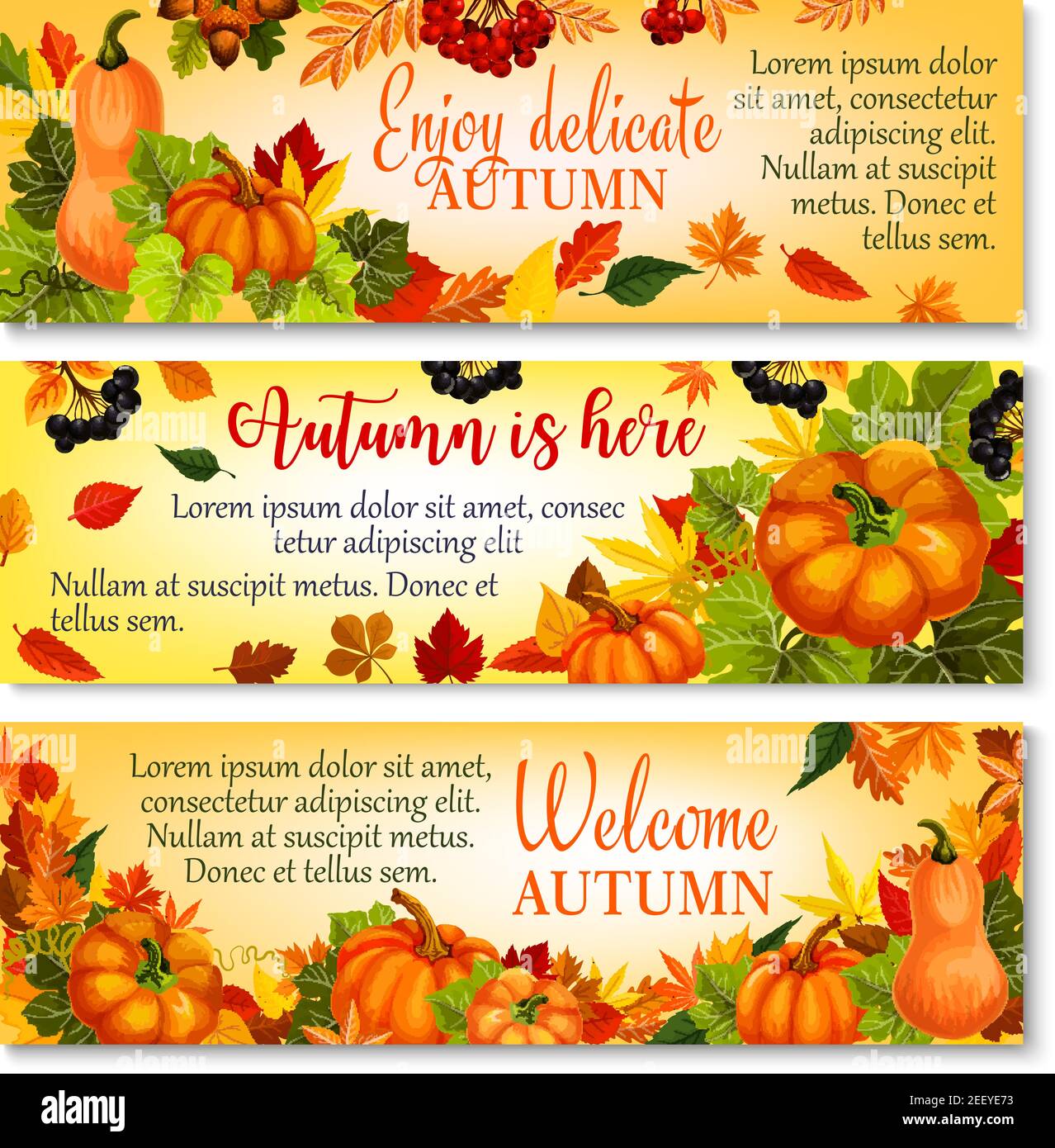 Herbstbegrüßungs-Banner mit herbstlichem Kürbis, gefallenen Blättern und Waldbeeren. Herbstsaison Ernte Kürbisgemüse, orange Ahornblätter, Eichel und Ro Stock Vektor