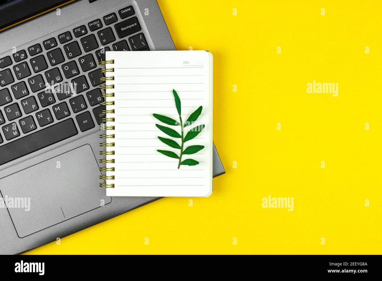 Spring Arbeitsplatzkonzept, Notizbuch und leerer Notizblock mit grünen Blättern, kreatives Flachlay-Design für Website, Kopierraum und gelbes Desktop-Foto Stockfoto