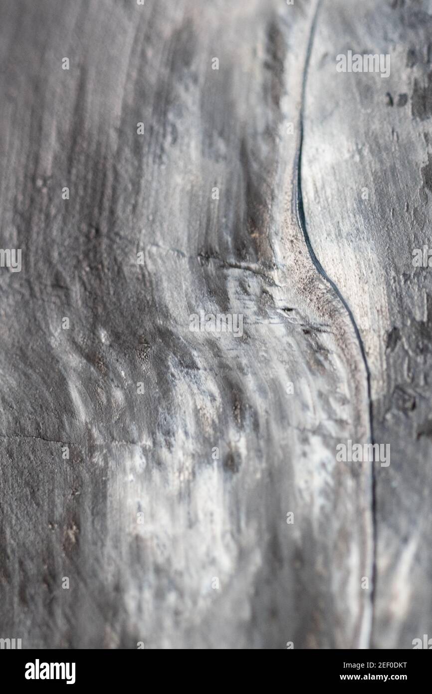 Pinsel und Palette mit farbigen Ölen von einem Künstler an Zu Hause entspannt Stockfoto