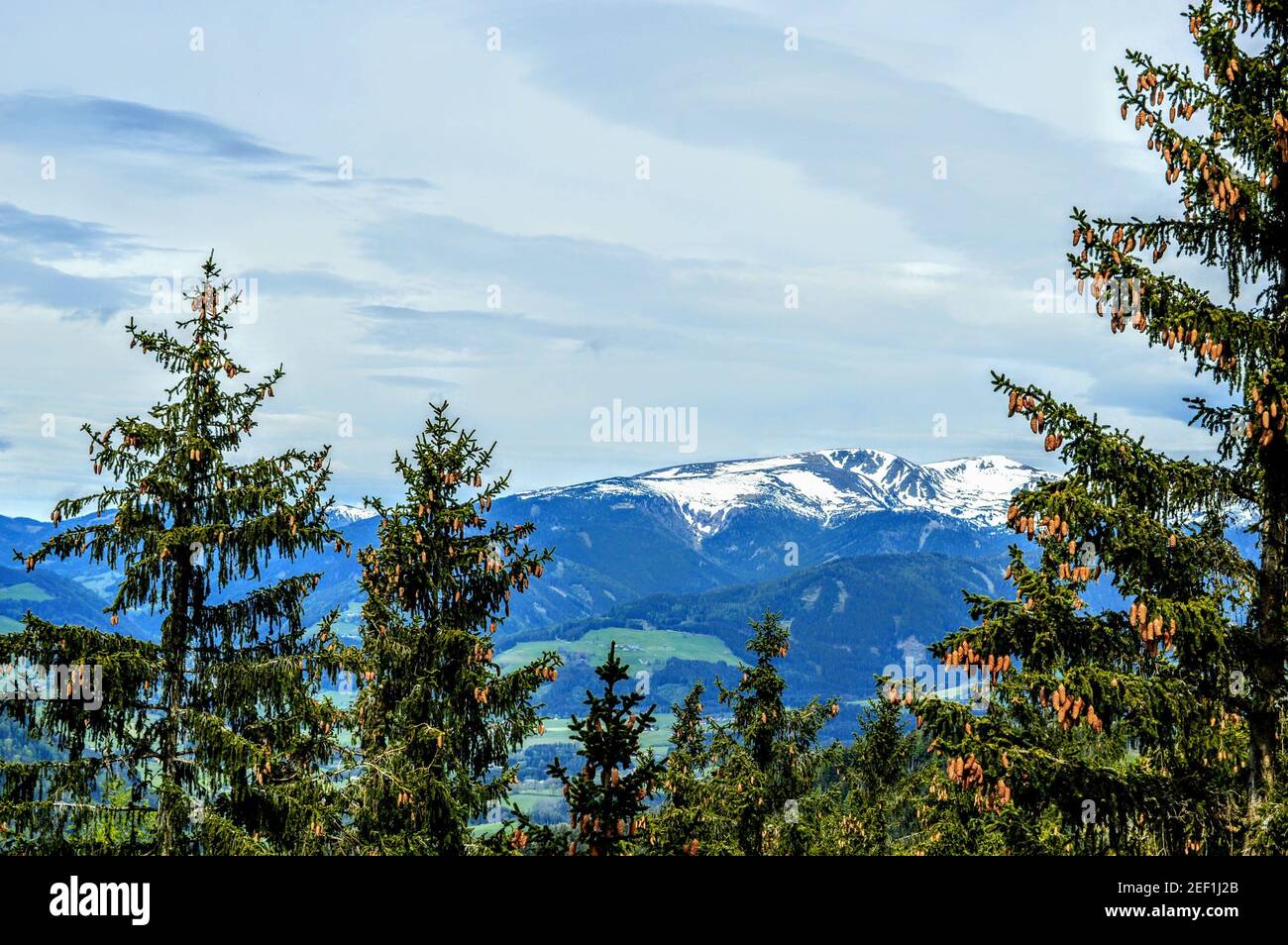 Die Aussicht vor der Liebe Stockfoto