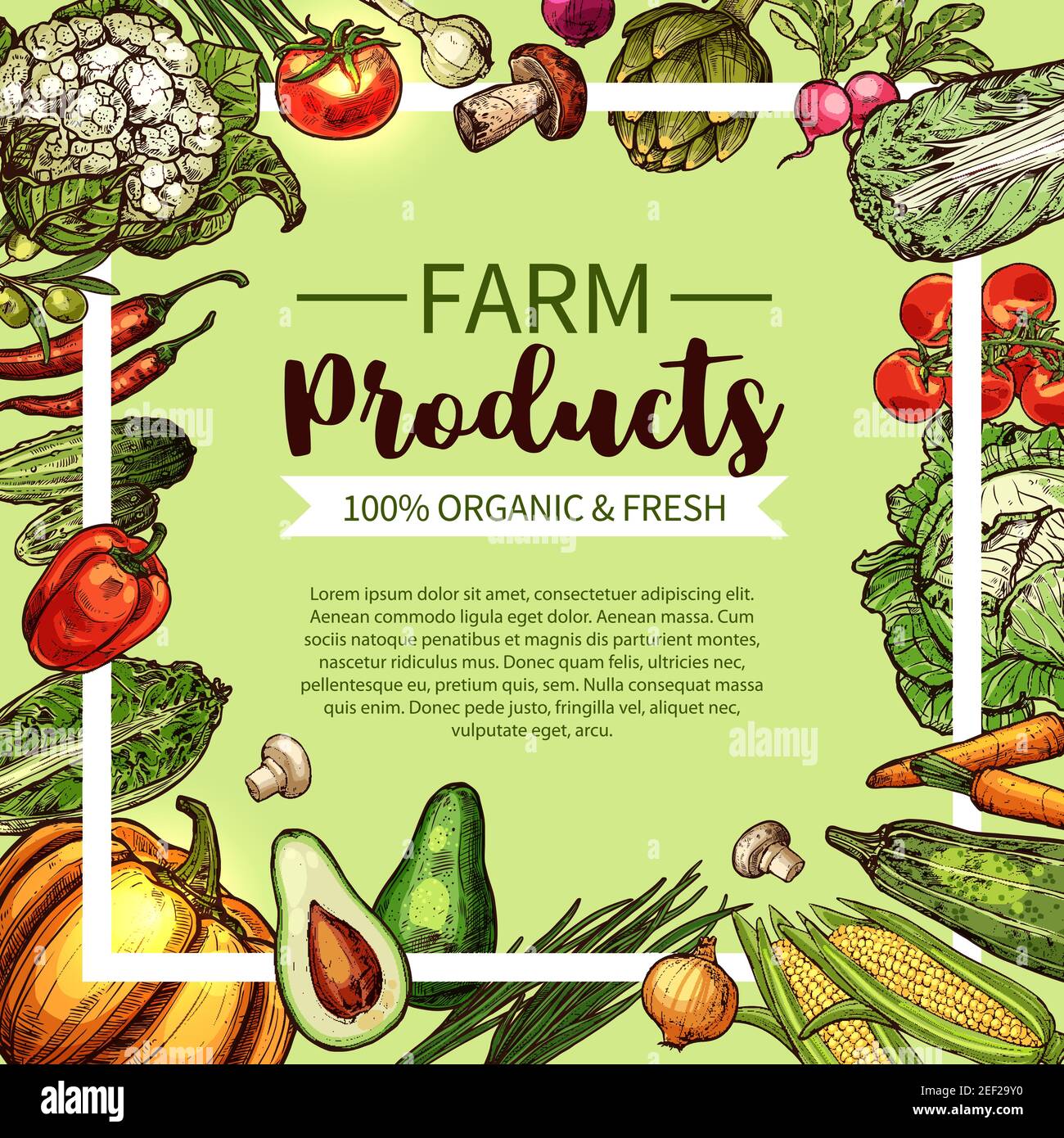 Gemüse und Pilz Skizze Rahmen von frischen landwirtschaftlichen Produkten. Tomaten, Pfeffer, Karotten und Zwiebeln, Kohl, Oliven, Chili und Mais, Gurke, Zucchini, Radis Stock Vektor