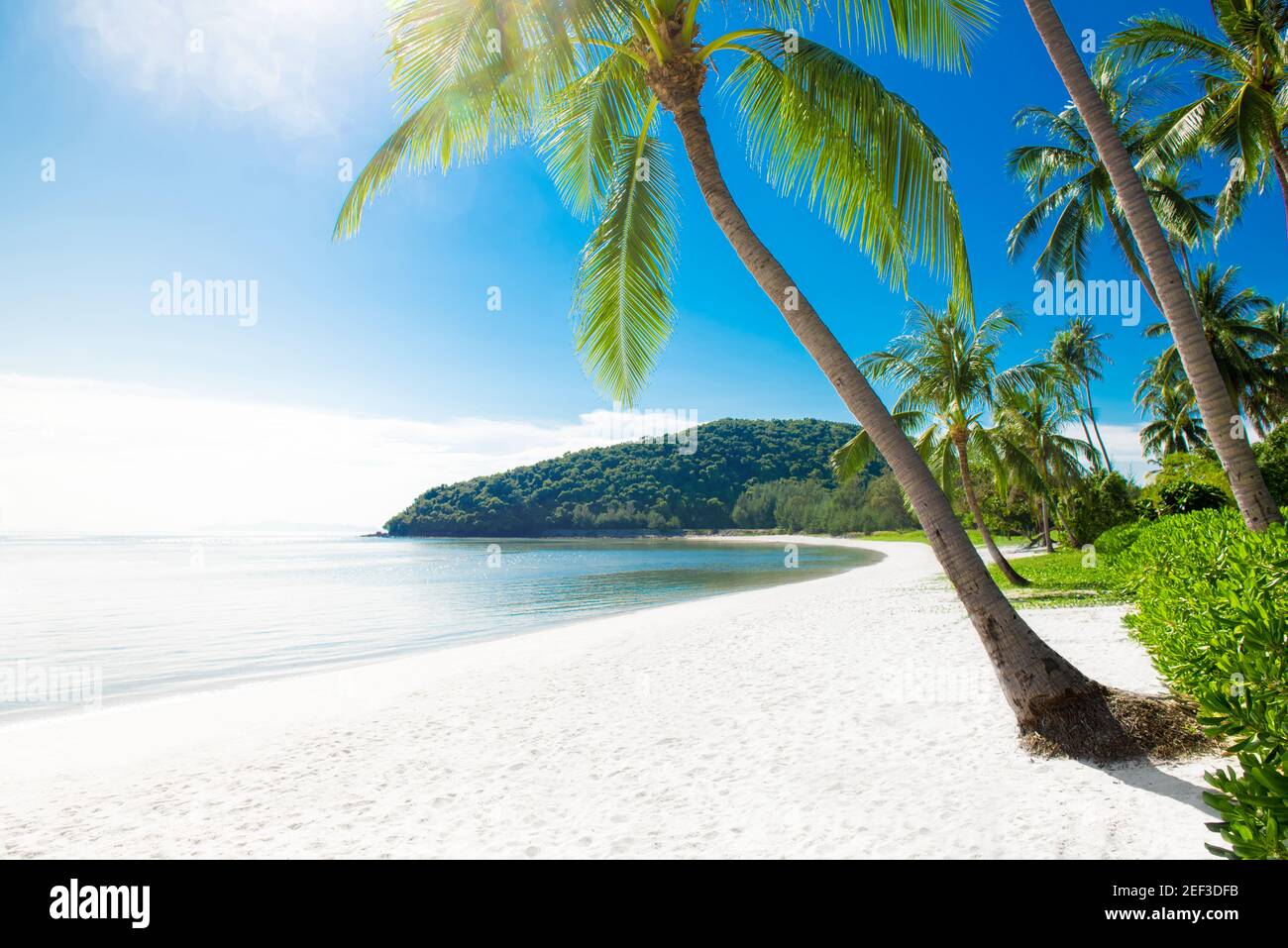 Schöner tropischer weißer Sandstrand im Sommer Stockfoto