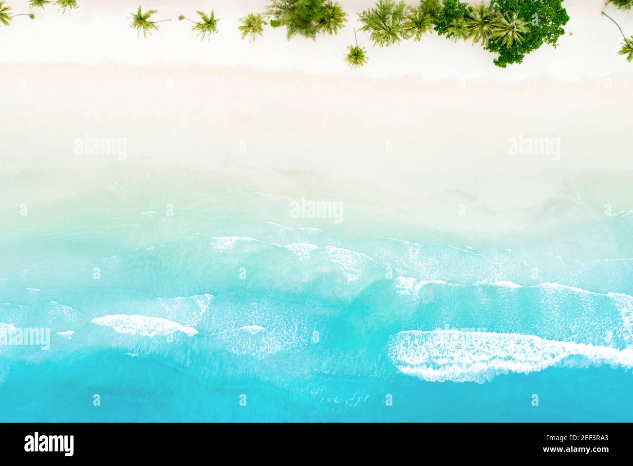 Draufsicht auf schönen weißen Sandstrand mit blauem Meerwasser und Palmen, Luftdrohne erschossen Stockfoto