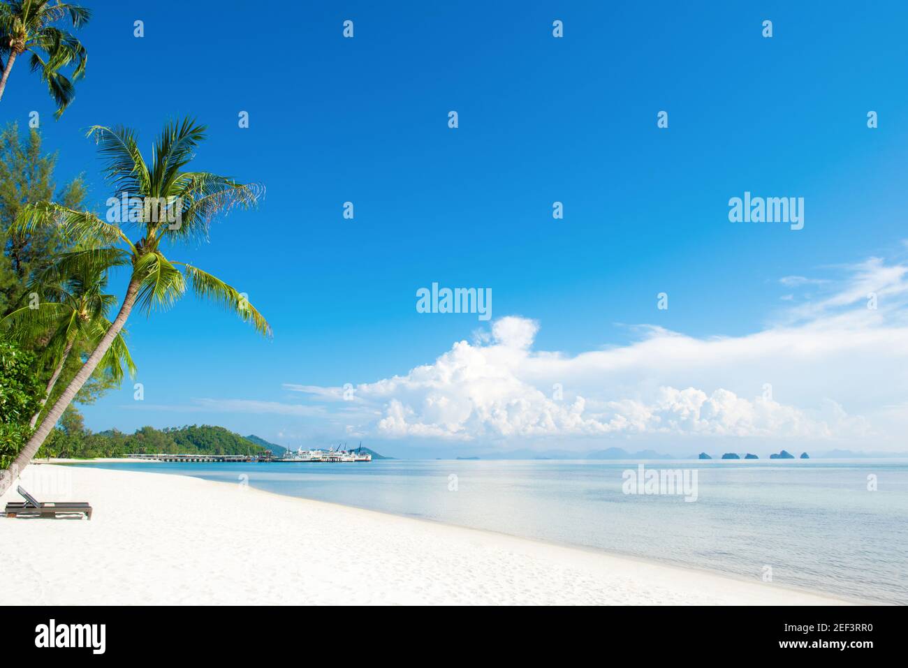 Schöner weißer Sandstrand mit Kokospalmen im Sommer Stockfoto