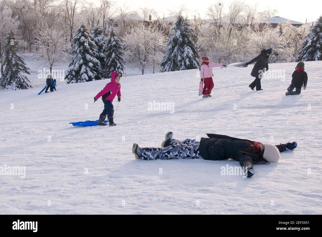 Kinder, die nach einem Eissturm im Park Rodeln spielen Stockfoto