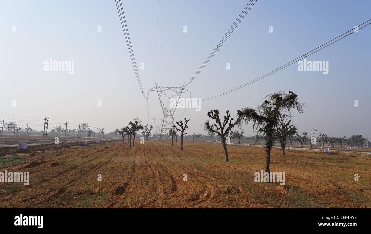 10. Februar 2021- Sikar, Jaipur, Indien. Morgenzeit erschossen, verlassen und kargen Feld Nahaufnahme. Aride Felder mit einigen Bäumen und Stromleitungen. Stockfoto