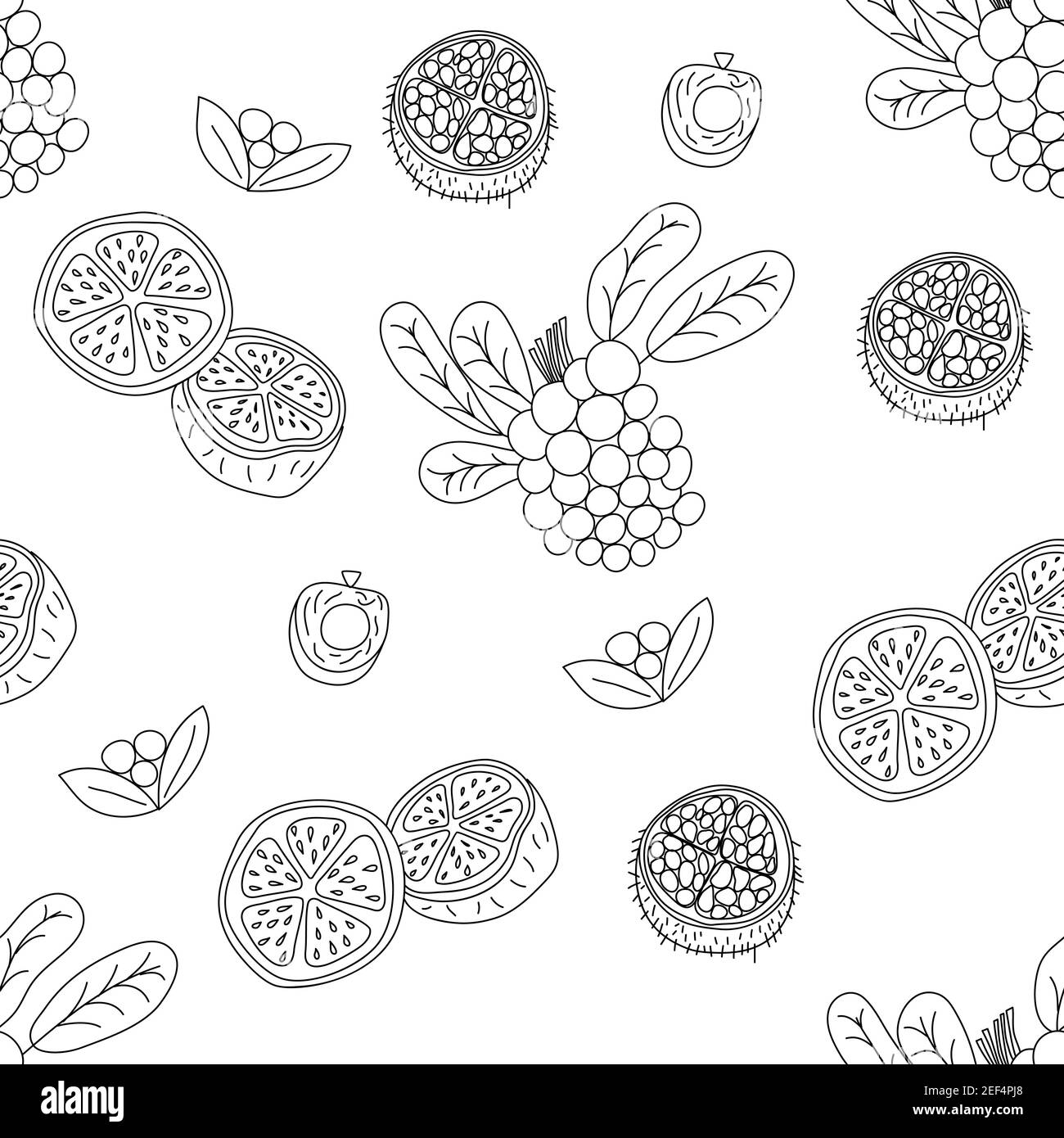 Tropische Früchte Linie nahtloses Muster. Schwarzer und weißer botanischer Hintergrund. Vektor-Illustration Sommer Monoline Stock Vektor