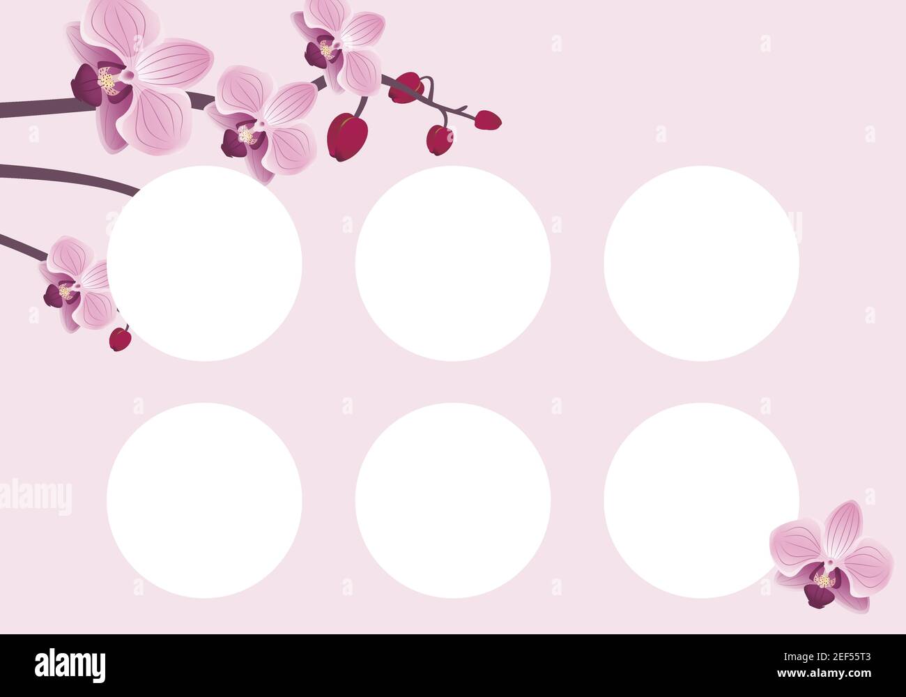 Rabattkarte Vorlage mit Orchideenblüte. Rosa niedliche Blumen Stock Vektor