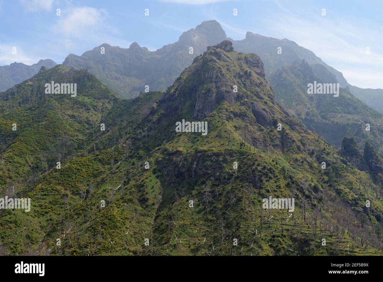 Malerische Berglandschaft in der Serra de Agua Region auf Madeira, Portugal Stockfoto