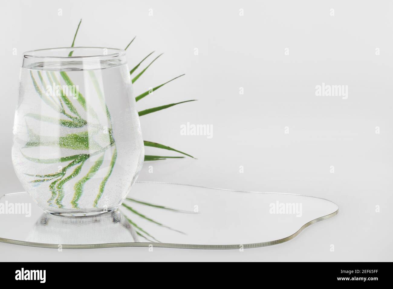 Palmblatt verzerrt durch Wasser in Glas mit Spiegel auf weißem Hintergrund. Reines Wasser, entspannen, surreal, umweltfreundliche Home-Konzept. Kopieren Raum. Stockfoto