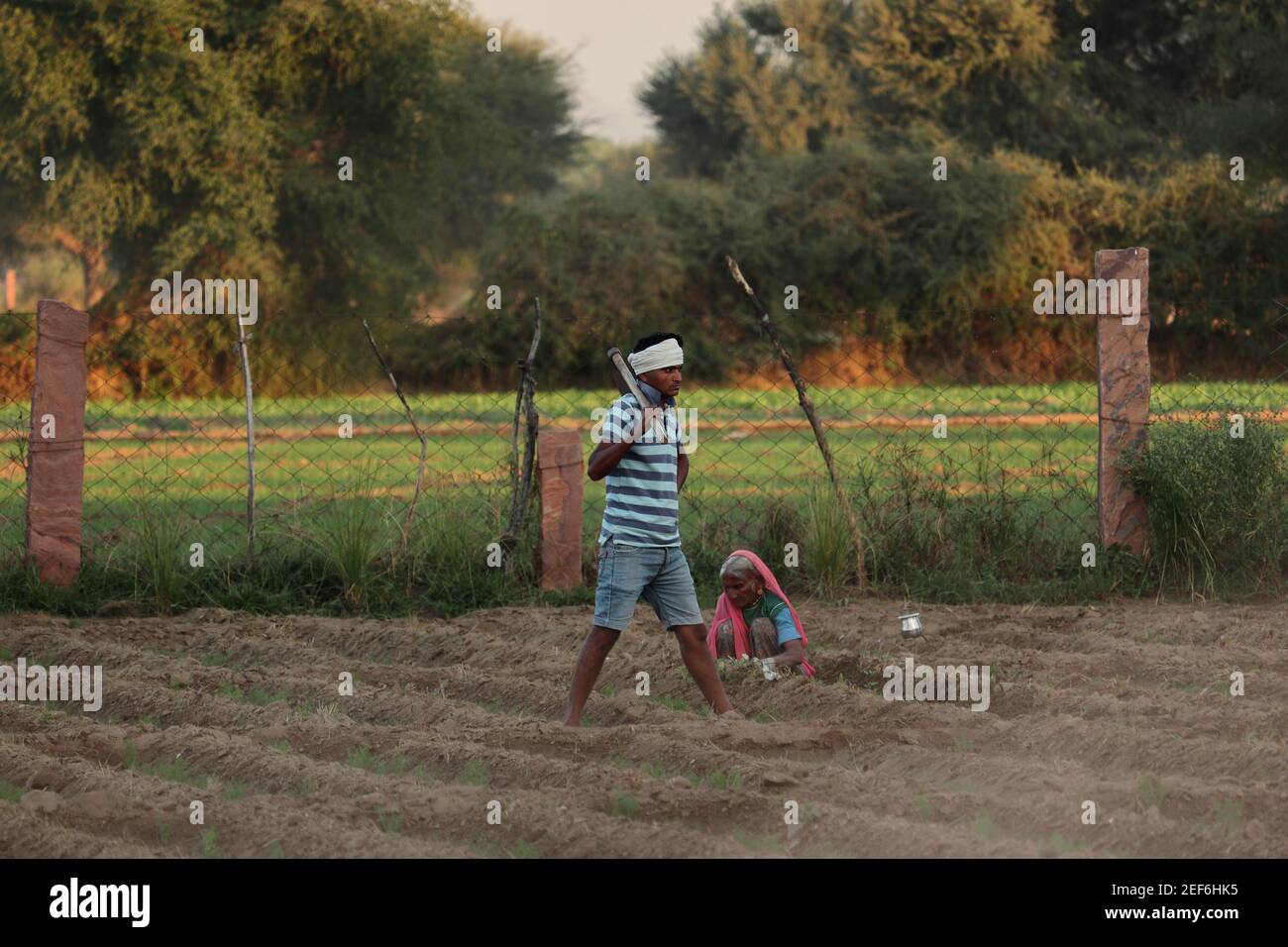 Ein junger indischer Bauer geht mit einer Schaufel auf der Schulter ins Feld, Indien-Asien Stockfoto