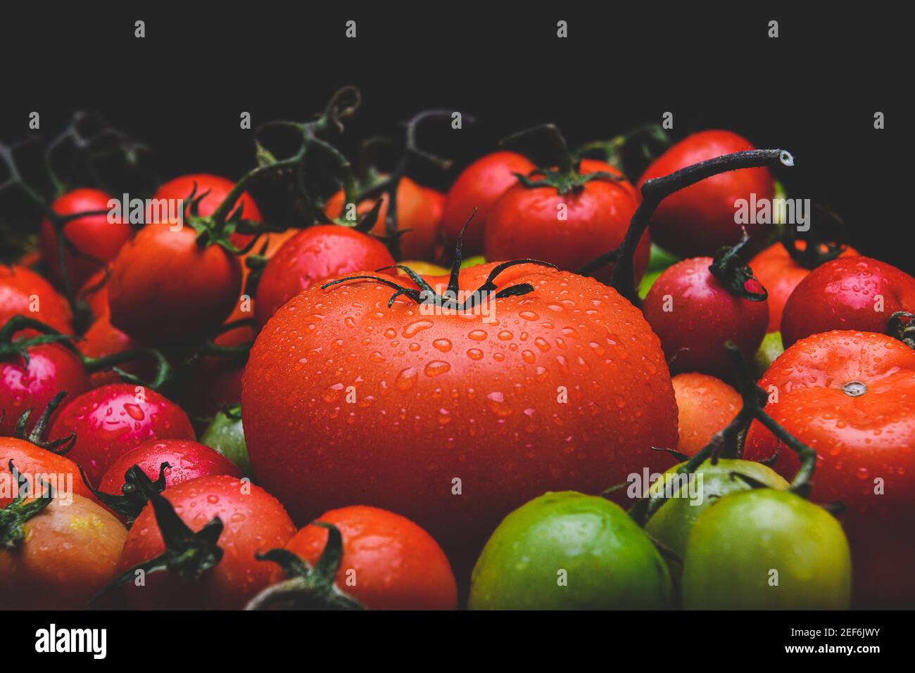 Mischen Sie Tomaten mit schwarzem Hintergrund lowlighting. Stockfoto