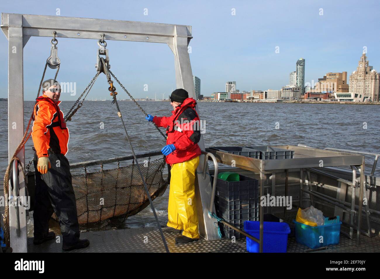 Meereswissenschaftler Beam-Trawling für Benthosorganismen im Fluss Mersey neben Liverpool Waterfront, Großbritannien Stockfoto