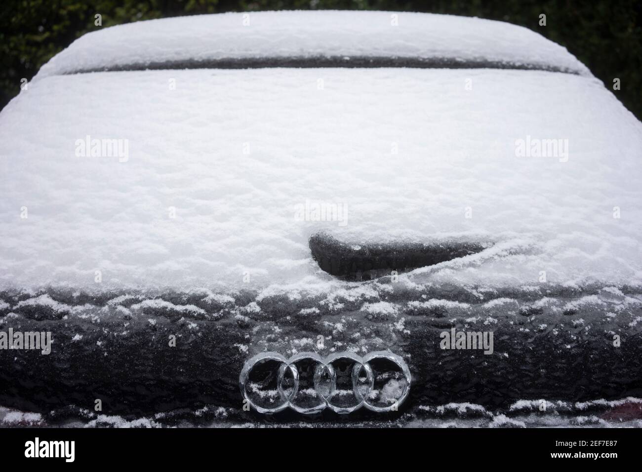 Nahaufnahme einer zugefrorenen Heckscheibe einer Audi Limousine im Oswego See, Oregon, am 13. Februar 2021, nachdem Schnee und eiskalte Regenfälle die Gegend um Portland erreicht haben. Stockfoto