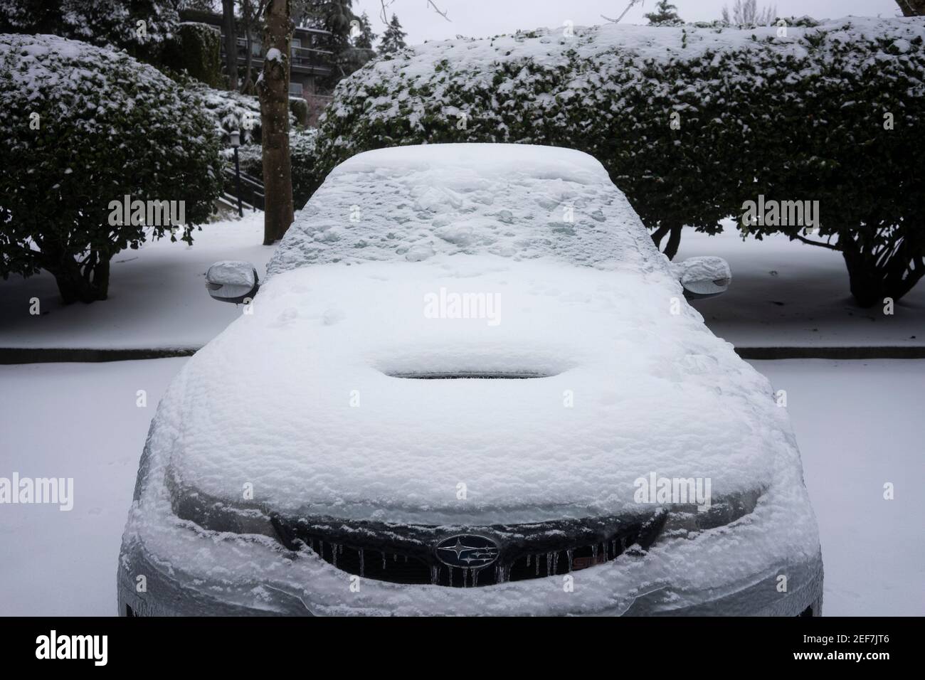 Ein gefrorener Subaru-Sportwagen ist auf einem Parkplatz in der Nachbarschaft in Lake Oswego, Oregon, am Fenraury 13, 2021, nach Schnee und eiskalten Regen zu sehen. Stockfoto