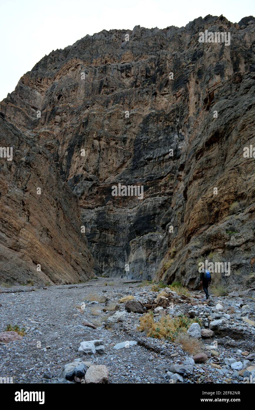 Eine Person, die in der titus Schlucht im Tod wandert Valley National Park an einem Dezembertag Stockfoto
