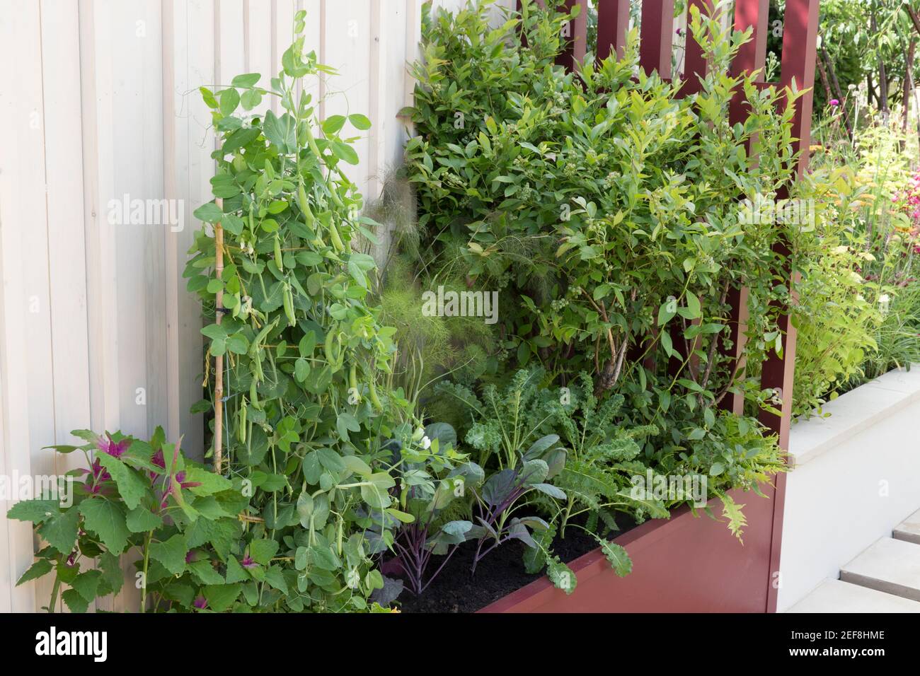 Hochbeet küche garten Fotos und Bildmaterial in hoher Auflösung Alamy