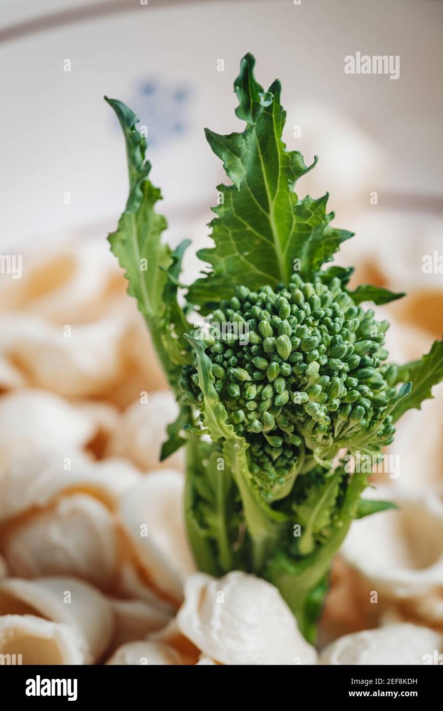 Traditionelles apulisches Gericht mit Orecchiette-förmigen Nudeln und Rüben-Tops Gemüse Stockfoto