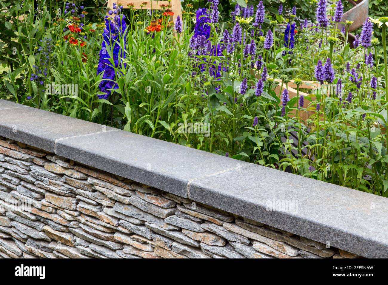 Englischer Landgarten mit trockenen Steinwänden und Blumenbeet, der an den Garten grenzt und Agastache-Blumen im Sommer London England anbaut Stockfoto
