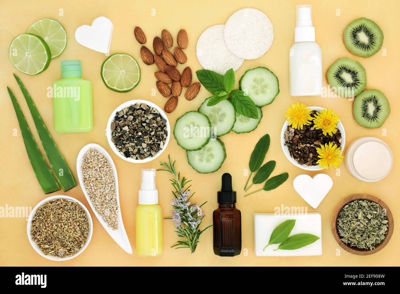 Natürliche Gesundheitsversorgung für die Haut Behandlungen mit Zutaten verwendet, um Hautbeschwerden wie Sonnenbrand, Akne, Psoriasis und Ekzeme zu behandeln. Stockfoto