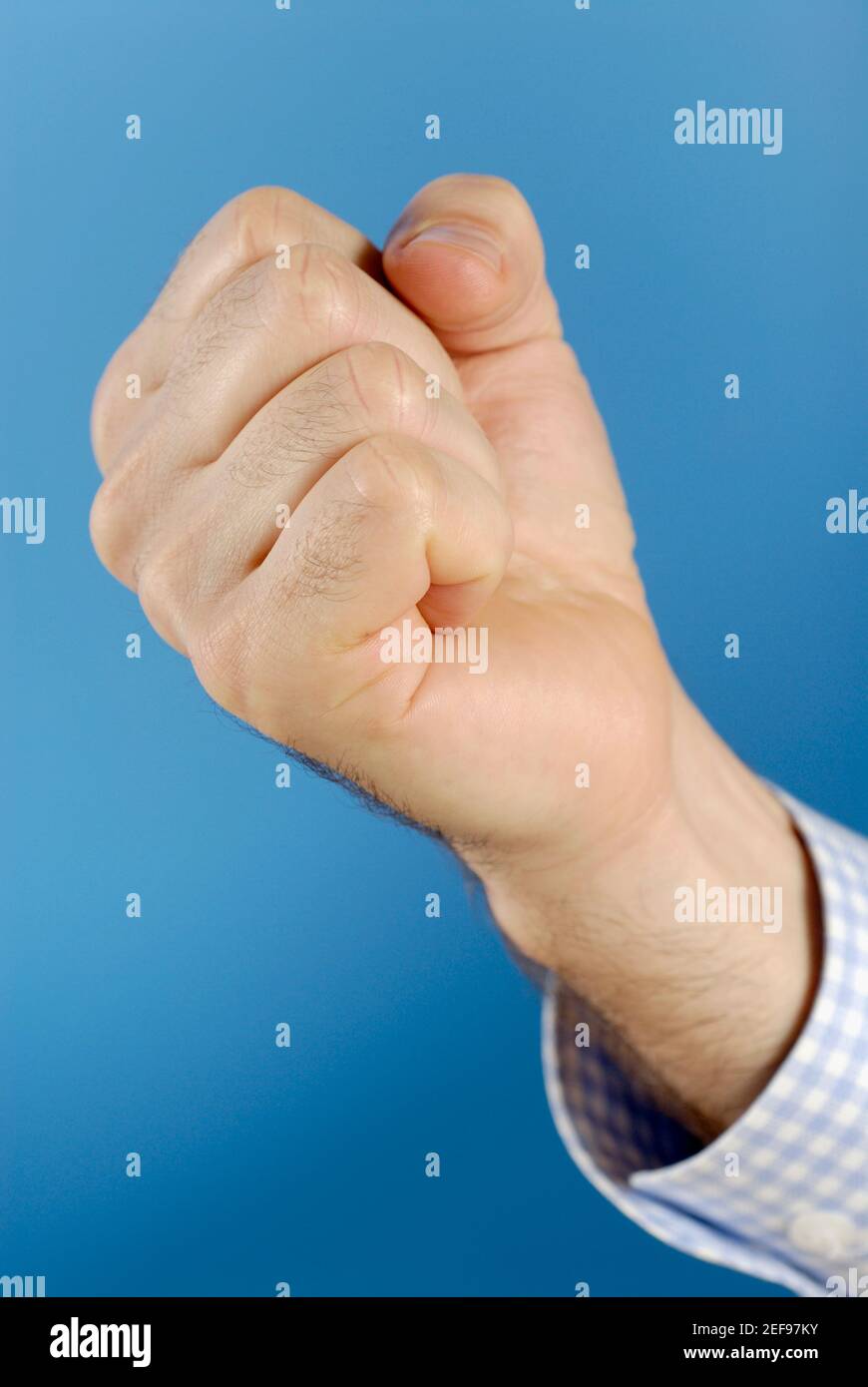 Nahaufnahme einer manÅ½s Hand, die eine Faust macht Stockfoto