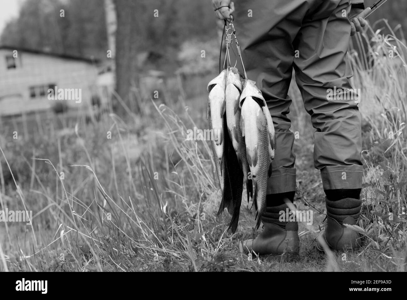 Low-Section-Ansicht eines Mannes, der Fisch hält Stockfoto