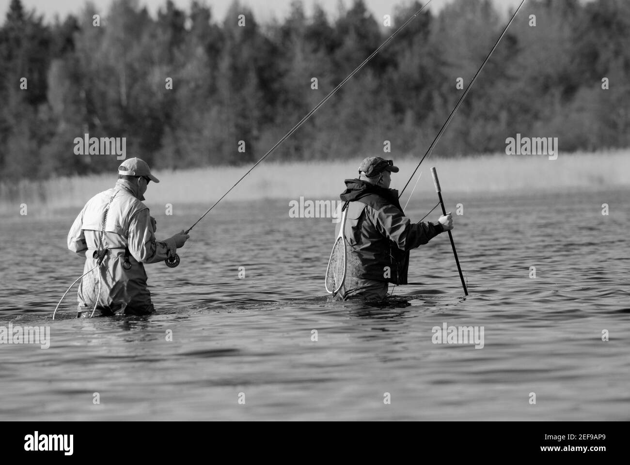 Rückansicht von zwei reifen Männern, die im Fluss fischen Stockfoto