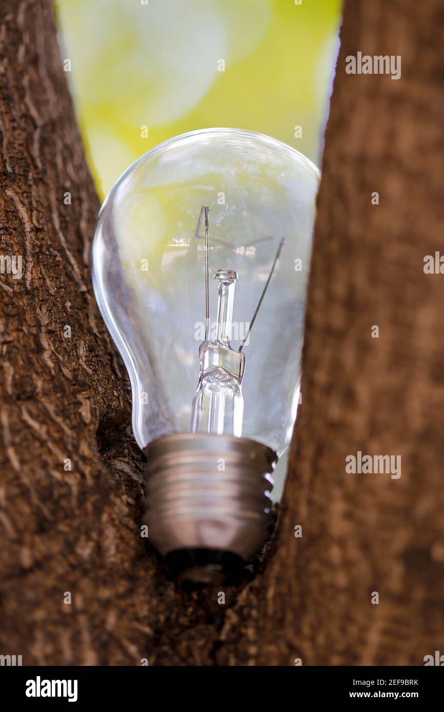 Dies symbolisiert die Empfindlichkeit gegenüber der Umwelt. Stockfoto