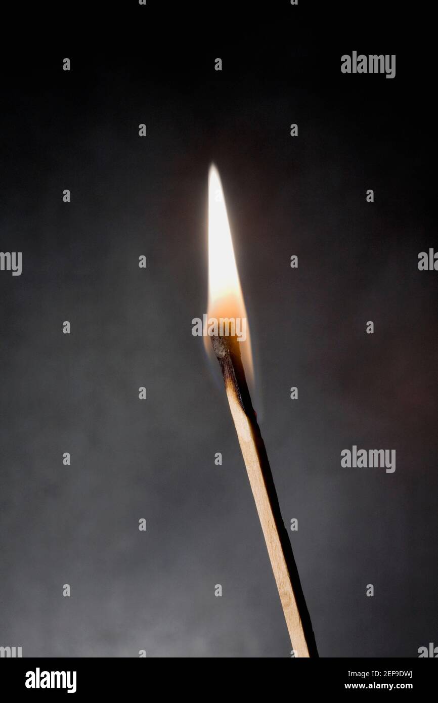 Nahaufnahme eines Zündstachelanzündungs Stockfoto