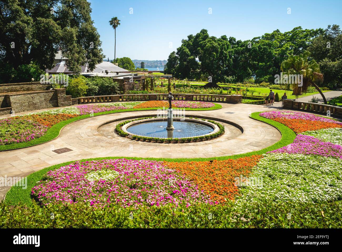 Landschaft der Royal Botanic Gardens in sydney, australien Stockfoto