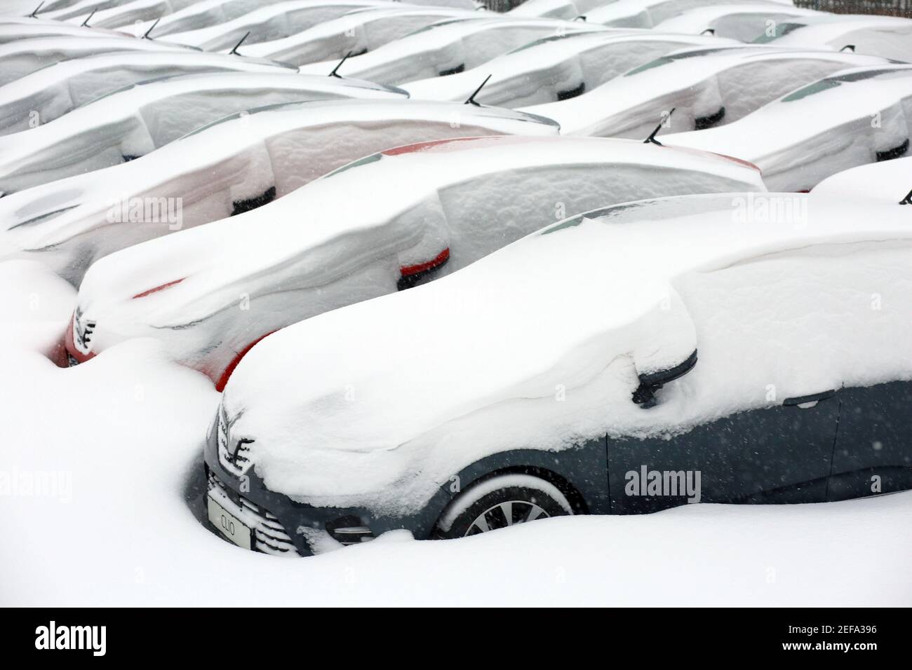 Wernigerode, Deutschland. Februar 2021, 08th. Die Fahrzeuge sind im Hof eines Autohauses mit Schnee bedeckt. Der Winter hat Teile von Sachsen-Anhalt, wie hier in Wernigerode, fest im Griff. Innerhalb kurzer Zeit wuchs die Schneedecke auf 50 Zentimeter. Die Rodungsdienste können den Schnee kaum verdrängen. Quelle: Matthias Bein/dpa-Zentralbild/ZB/dpa/Alamy Live News Stockfoto